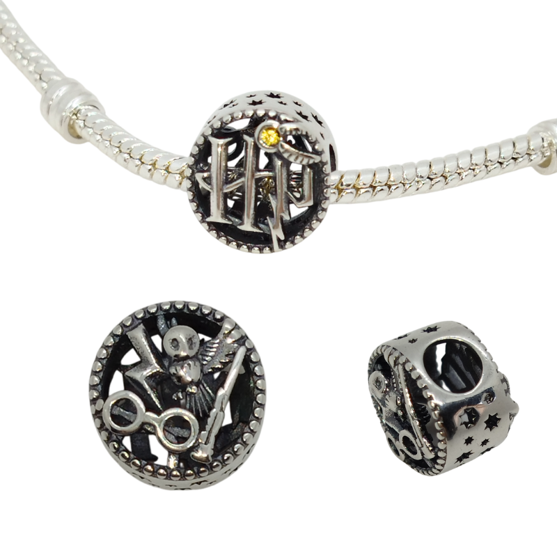 Charm HP Harry Potter