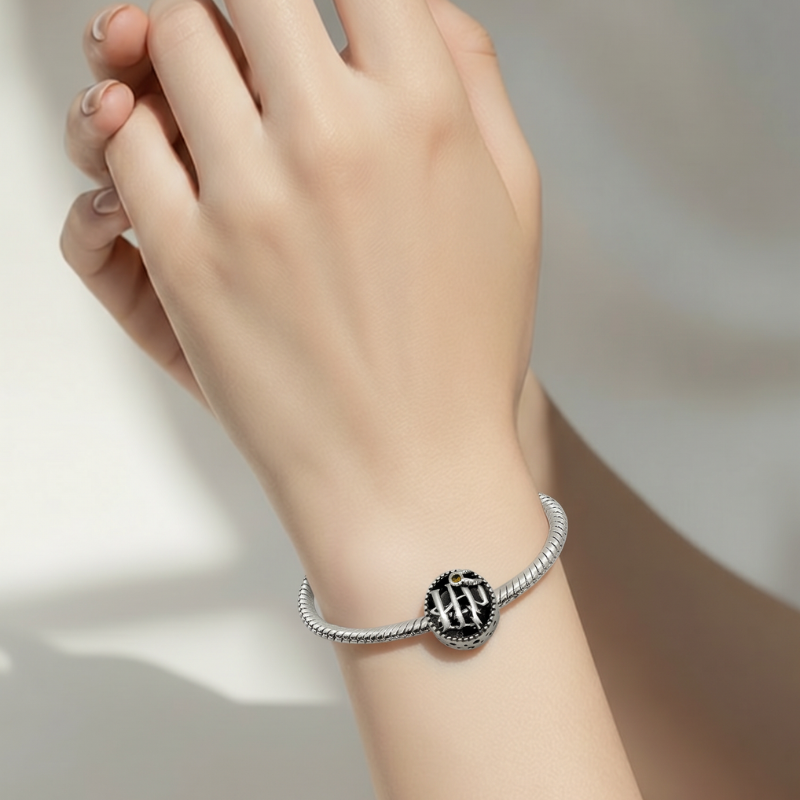 Charm HP Harry Potter