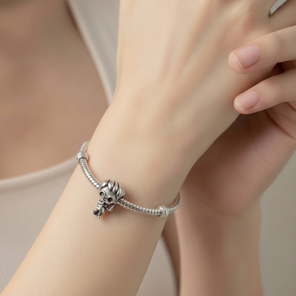 Charm Harry Potter