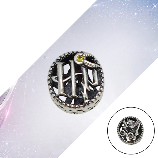 Charm HP Harry Potter